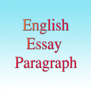 Essay on 